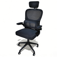 Chaise de bureau écologique, mobilier, vente chaude, chaise de bureau informatique, 2025, belle, meilleure chaise de bureau pour le confort, ergonomique