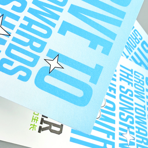 Tùy chỉnh cao cấp tráng giấy in logo gấp tờ rơi Danh mục tờ rơi tập sách hướng dẫn hướng dẫn sử dụng in tờ rơi - Product Image 6