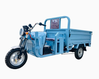 Tricycle utilitaire électrique pliable à trois roues avec cabine et benne basculante pour l'agriculture, capacité 500 kg, OEM