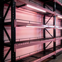 Étagères empilables à double niveau à 4 niveaux, en métal, pour supermarché, armoire de rangement, organisateur, durable, réglable, pré-assemblé