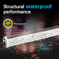Hoge Opbrengst PAR Licht 120w 1.2m Waterdichte LED Onderkap Groeilampen voor Hogere Opbrengsten