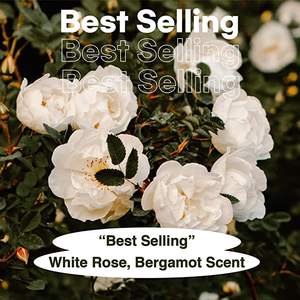 Soin naturel des mains à la bergamote, marque privée, crème <span class=keywords><strong>pour</strong></span> les mains au parfum de rose blanche <span class=keywords><strong>pour</strong></span> nourrir les mains très sèches - Product Image 2