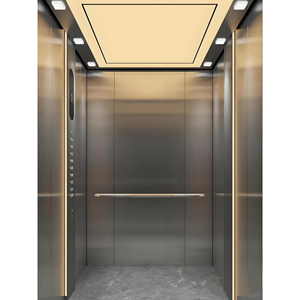 <span class=keywords><strong>Ascensor</strong></span> de Pasajeros Personalizado de Fábrica, Moderno, Completo, Antisísmico, Estructura Estable, para Edificios Emblemáticos Urbanos - Product Image 1