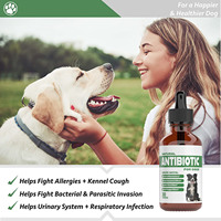 Gouttes antibiotiques personnalisables pour animaux de compagnie – Fabrication en gros OEM – Formule vétérinaire douce pour chiens et chats – Traitement des maladies infectieuses