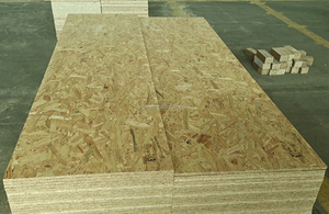 Fabricante chino al por mayor uso de construcción de alta resistencia 12mm 11mm 9mm <span class=keywords><strong>Osb3</strong></span> E0 pegamento Pino tablero Osb - Product Image 2