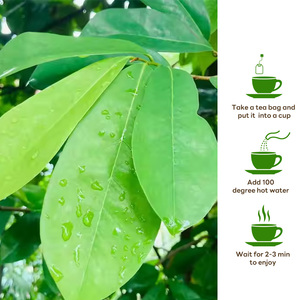 Chinapherds produk kesehatan, kantung teh daun Soursop Organik produk kesehatan kaya vitamin - Product Image 6
