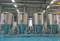 Vente en gros de cuves de fermentation en acier inoxydable 304/316 pour la production de cidre de pomme et de bière, équipement avec moteur PLC, 3000L