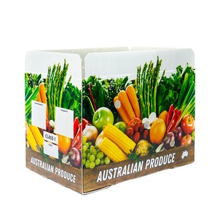 Plastic shipping box corrugated transport plastic fruit and vegetable box Large Packing
