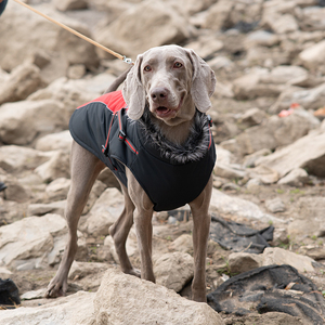 Abrigo de Invierno para Perro con Arnés, Venta al por Mayor de Fábrica, Ropa de Lujo Personalizada para Perros Grandes con Cuello Alto - Product Image 6