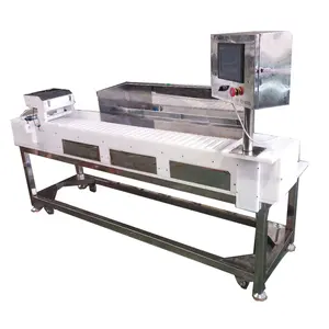 Commercial Electric Automatic Steel Barbecue Food Fried Chicken Shashlik Mutton Meat Skewers Making Machine
