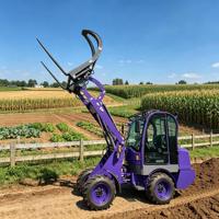 Caricatore Compatto Elettrico Industriale da 1 Tonnellata, 4WD, Sistema Idraulico, Durevole, Leggero, ad Alta Efficienza