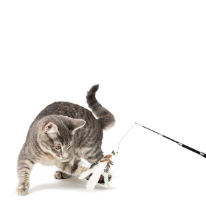 Canne à <span class=keywords><strong>chat</strong></span> rétractable en quatre sections, personnalisée, 1,8 m, super longue, avec plumes, <span class=keywords><strong>pour</strong></span> le jeu et le divertissement des chats - Vente en gros usine - Product Image 5