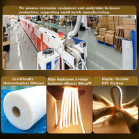 Muestra Gratuita de Tira de Luz LED de Neón Flexible de 24v 12v de Alto Brillo para Letras Luminosas LED DIY, Letreros de Tienda, Luz de Neón para Exteriores