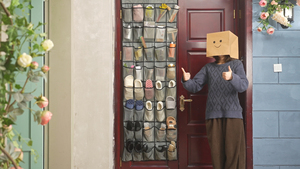 Organisateur de chaussures à suspendre sur porte avec 40 grandes poches en filet et crochets métalliques pour placard, entrée, chambre, dortoir - Product Image 6