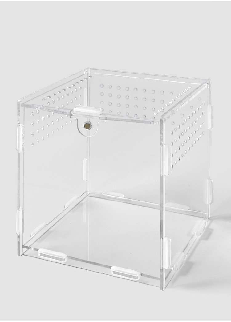 Transparent