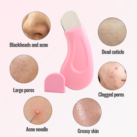 Outil de nettoyage manuel des points noirs portable avec logo personnalisé pour le nettoyage en profondeur des pores et l'exfoliation