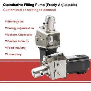 Micro Addition Quantitative Filling Valveless Plunger Pump Adjustable Dosing Ceramic Liquid Injection Metering Pump