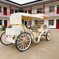 Véhicules de réception touristiques populaires pour passagers, chariots électriques de tourisme