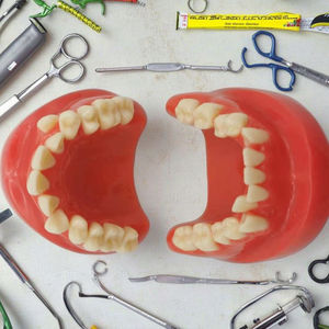 Model gigi ortodontik, kain Resin plastik, tampilan mispenyelaras gigi dengan ruang yang salah - Product Image 4