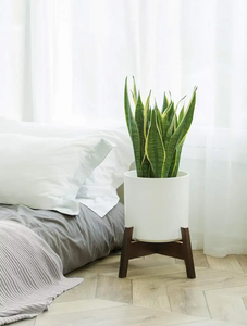 Porte-<span class=keywords><strong>pot</strong></span> <span class=keywords><strong>en</strong></span> <span class=keywords><strong>bambou</strong></span> de style moderne d'usine pour la maison ou le bureau - Product Image 4