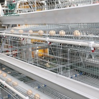 Peralatan Peternakan Unggas Otomatis HIGHTOP Sistem Kandang Ayam Petelur Tipe A untuk Kapasitas 10000 Ekor Ayam