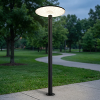 Lampe de rue LED solaire IP65 rechargeable avec piles AAA, télécommande, corps en aluminium, intensité variable, certifiée CE pour usage en jardin