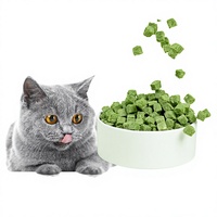 Granulés de herbe à chat lyophilisés saveur poulet, biscuits à la catnip, friandises pour chats, qualité animale, emballage en conserve, modèle Shandong