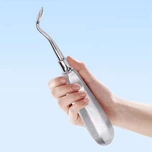 Elevador dental de acero inoxidable Morning Industry, curvo, para extracción apical, instrumento quirúrgico oral - Product Image 2