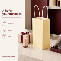 Sacs en papier kraft couleur unie marron avec poignées en papier pour les boutiques de cosmétiques et de beauté, liste de prix de gros, impression de logo personnalisé