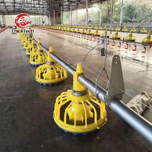 Comedero Automático Resistente y Línea de Bebederos <span class=keywords><strong>para</strong></span> Sistema de Cría de Pollos de Engorde a Gran Escala - Product Image 2