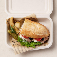 Contenant alimentaire jetable en bagasse de canne à sucre biodégradable de 600 ml, type coquille, pour plats à emporter – Prix usine, écologique