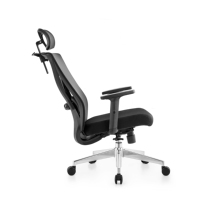 NOEL - Chaise de bureau ergonomique à dossier haut, prix abordable, haute qualité, chaise en maille avec repose-pieds