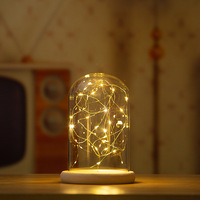Figurine de fleur préservée en boîte surprise, dôme en verre borosilicate anti-poussière, guirlande lumineuse en fil de cuivre, petite veilleuse décorative