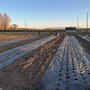 Nông nghiệp nhiệm vụ nặng nề nhựa dệt che phủ mặt đất cảnh quan UV cắt cỏ dại Mat kiểm soát vải chống cỏ rào cản <span class=keywords><strong>Net</strong></span> màng - Product Image 1