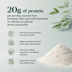 Proteine Isolate del Siero di Latte Tedesche OEM per Adulti, 0g Zuccheri, 0g Grassi, per Sviluppo Muscolare, Brucia Grassi, Miglioramento Densità Ossea, Gusto Vaniglia, 5 - Product Image 3