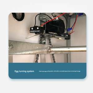 Incubadora <span class=keywords><strong>de</strong></span> <span class=keywords><strong>huevos</strong></span> comercial 1056 Sistema <span class=keywords><strong>de</strong></span> torneado <span class=keywords><strong>de</strong></span> motor dual 220W Bajo <span class=keywords><strong>consumo</strong></span> con protección contra fallas <span class=keywords><strong>de</strong></span> circuito - Product Image 6