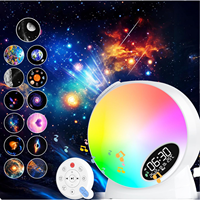 Projecteur LED 13 en 1 de luxe pour décoration d'intérieur Mini veilleuse USB avec minuterie Matériau ABS Planétarium Ciel étoilé Lampes