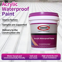 Peinture acrylique imperméable pour murs, sols en béton ou toitures, peinture d'étanchéité à base de résine acrylique