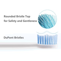 Brosse à dents électrique sonique personnalisée avec batterie de base, étanche IPX7, idéale comme rechange pour les invités ou pour les voyages d'urgence