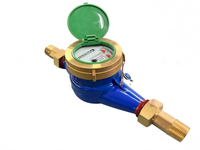 Medidor de Agua Mecánico Rotatorio Multichorro de Pequeño Calibre con Protección IP68