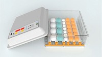 Vente en gros d'un petit incubateur d'oeufs automatique domestique système d'incubateur de nouvel état d'élevage de poulets bon marché ferme avicole