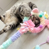 Accessoires pour animaux de compagnie baguette magique cloche en peluche jouet interactif pour chat jouet dattraction