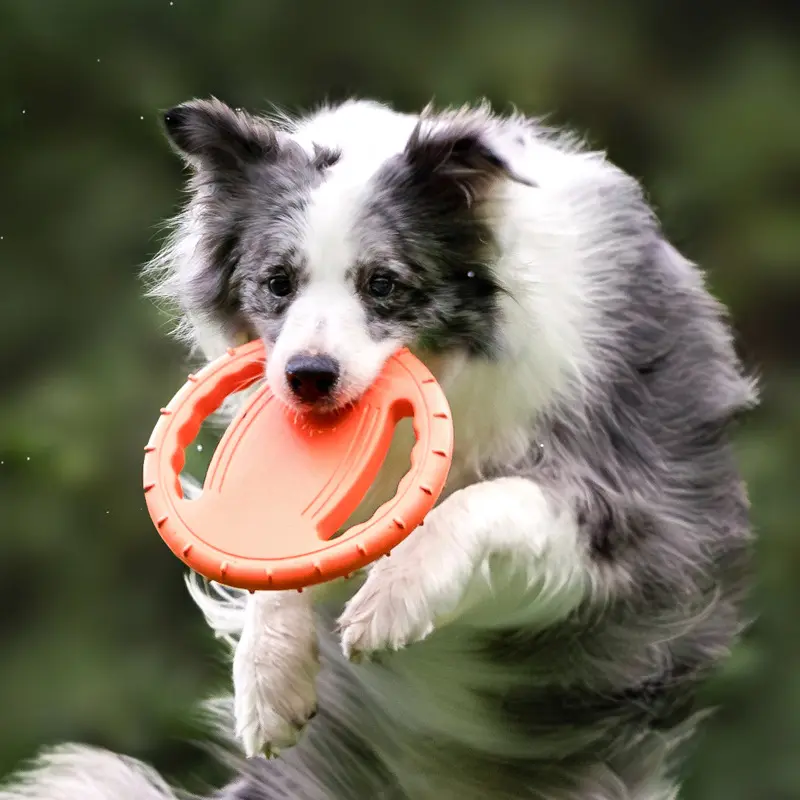 Hoogwaardige Buitensport Zacht Eva Hond Training Speelgoed Interactief Kauwspeelgoed Weerstand Bijtvliegende Schijven Schotel Voor Honden