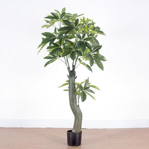 Nuovo modello per interni/esterni decorazione giardino alta Pachira Macrocarpa pianta albero dei soldi in plastica con vaso di cemento artificiale - Product Image 4