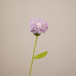 Oeillet violet dégradé