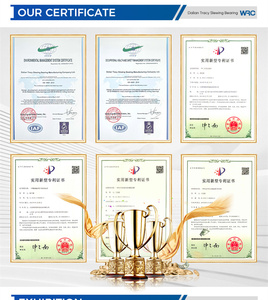 Đôi hàng bóng quay bảng xoay bàn xoay mang cho bánh xích đi bộ máy xúc đôi hàng bóng slewing mang - Product Image 6