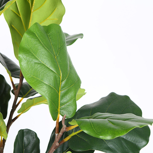 China fabricante de higo árbol <span class=keywords><strong>artificial</strong></span> de <span class=keywords><strong>eucalipto</strong></span> violín-Hoja de higo plantas artificiales - Product Image 5