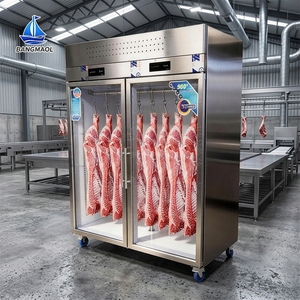 Armoire de maturation de viande robuste pour boucher, ventilée, avec roues robustes - Product Image 1