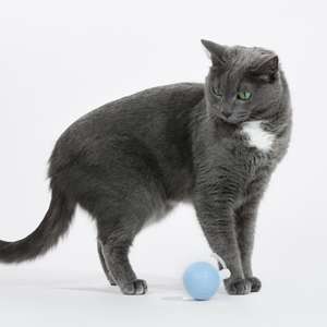 ガーフィールド猫おもちゃ魅力的な邪悪なカタツムリ環境にやさしいPVCモダンスタイルインタラクティブ玩具 - Product Image 1