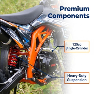 Moto tout-terrain 125cc 4 temps à essence, Dirtbike BSE PH05 6.5kW 100km/h, moto de course <span class=keywords><strong>enduro</strong></span> tout-terrain pour adultes - Product Image 3